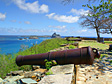 Canh&otilde;es de Noronha