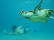 Mergulho para desfrutar das belezas de Noronha
