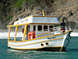 Passeio de Barco Noronha