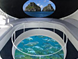 Noronha por cima e por baixo