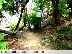 Trilhas em Fernando de Noronha