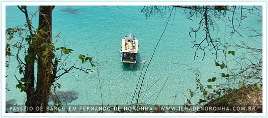 Passeio de Barco em Fernando de Noronha