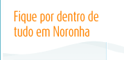 Fique por dentro de tudo em Fernando de Noronha