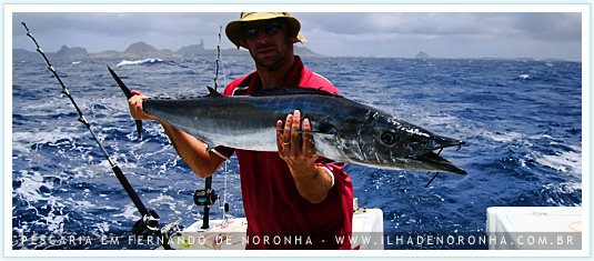 Peixe em Fernando de Noronha