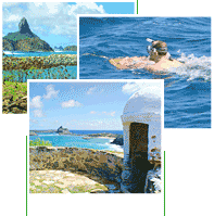D� seu lance e participe.
